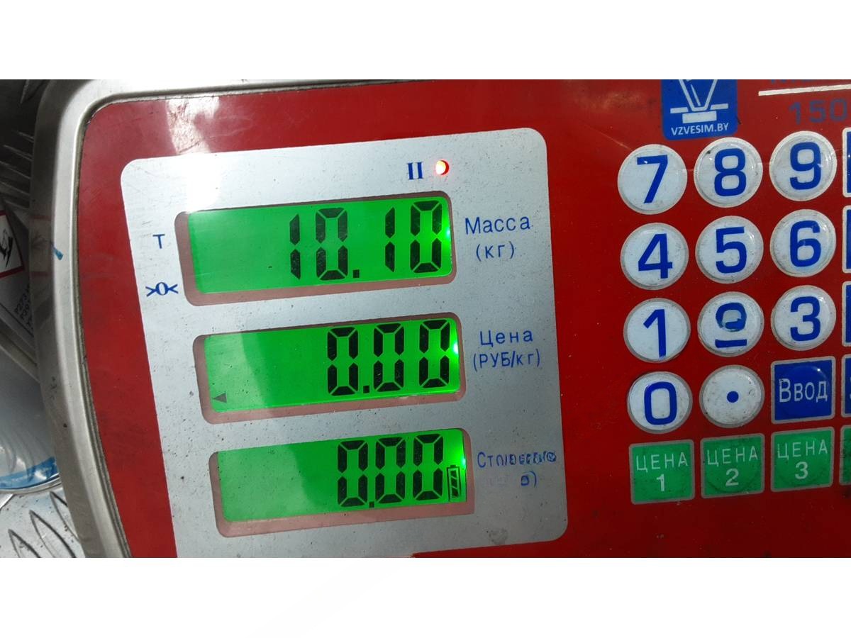 Раздаточная коробка Nissan Qashqai J10 +2, 2013 г., OEM 273764, арт. 1GM49T401, фото 7