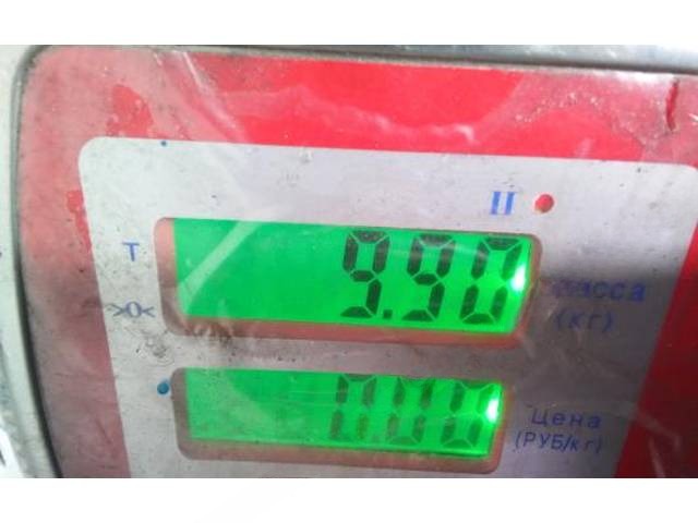 Раздаточная коробка Nissan X-Trail T31, 2008 г., арт. 3NT13T401, фото 8