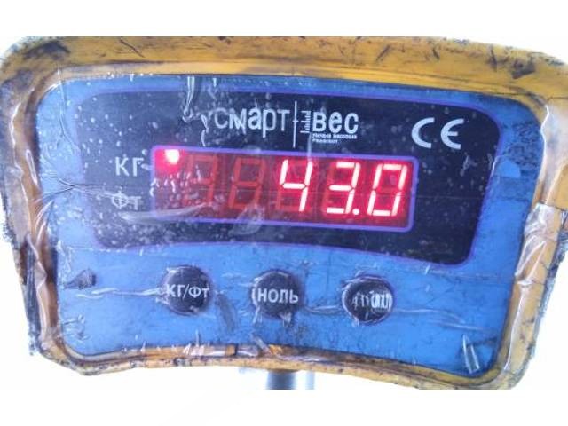 Раздаточная коробка Ford Ranger, 2006 г., OEM ZL00A, арт. TEA27DV01, фото 7