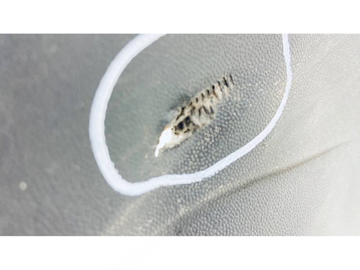 Новое Volkswagen Caddy, 2021 г., OEM 2K7807421B, арт. B123711, фото 6