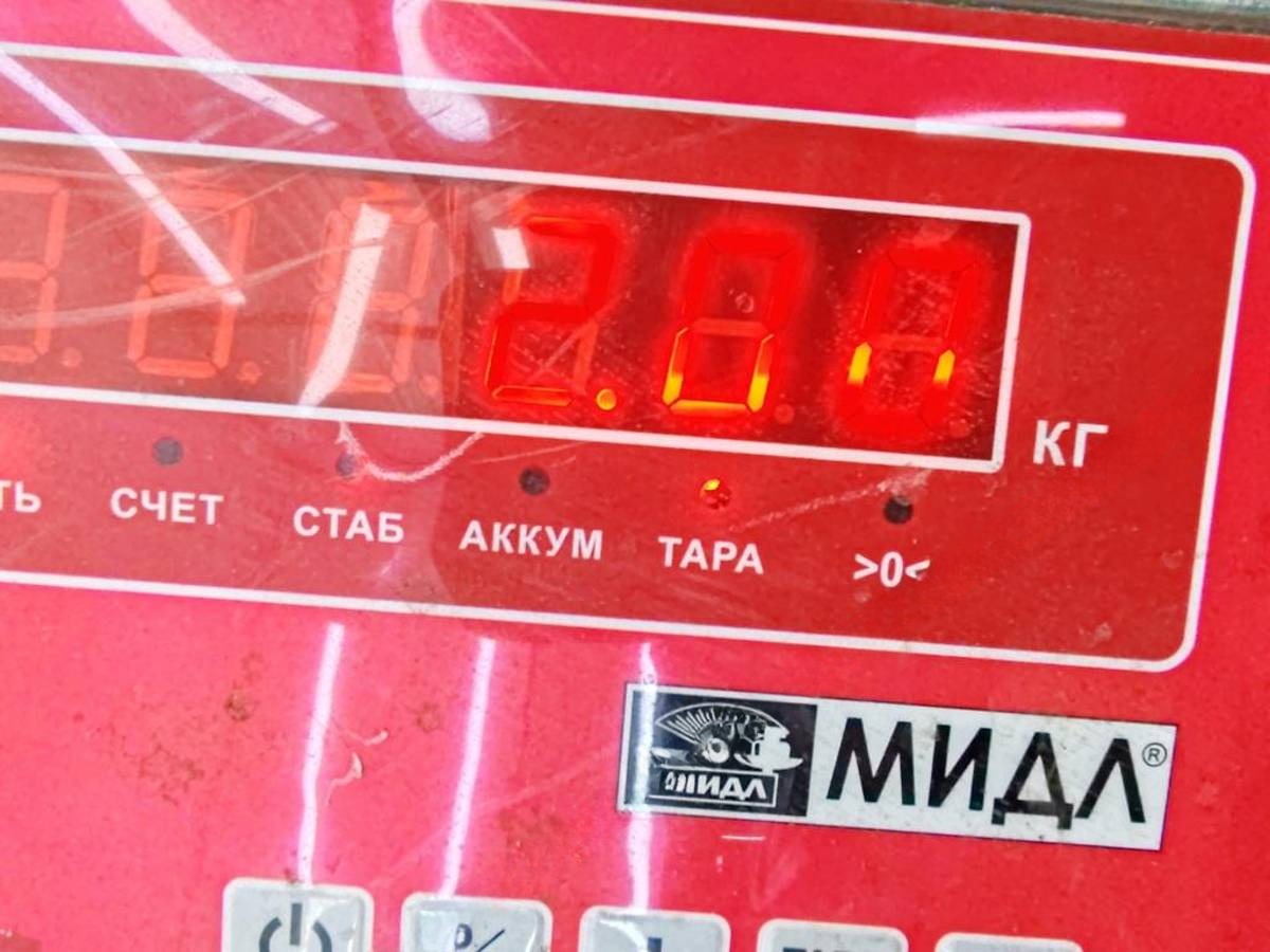 Новое Nissan Primera P12, 2002 г., арт. 52441568, фото 4