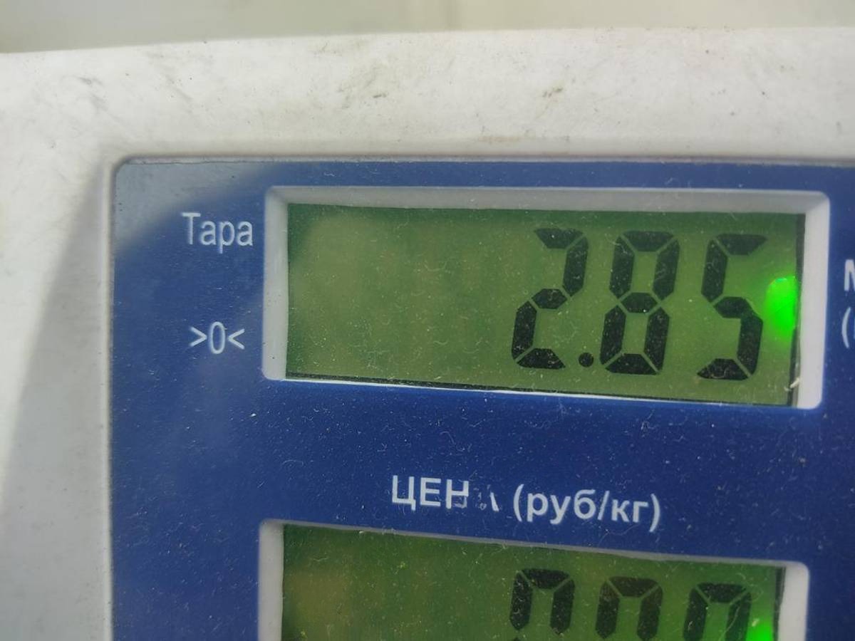 Новое Toyota Avensis, 2003 г., арт. 54699311, фото 3