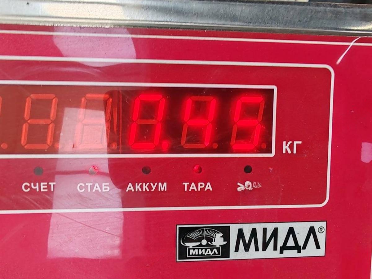 Новое BMW E60/E61, 2003 г., арт. 55270882, фото 3