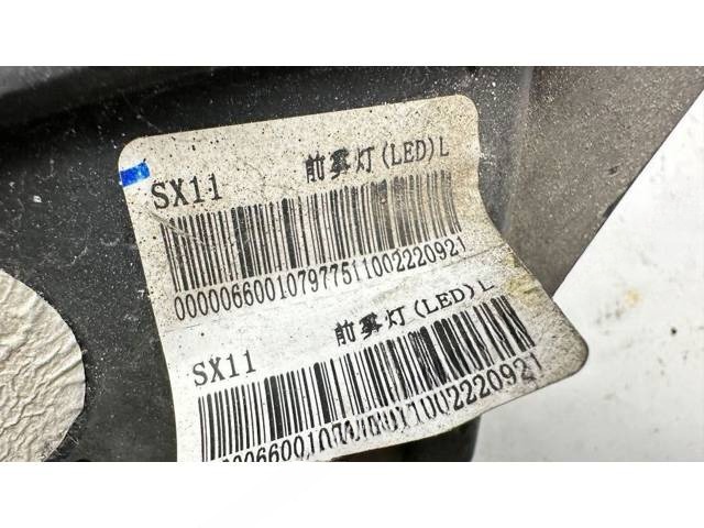 Новое Belgee X50, 2022 г., OEM 6600107977, арт. B129054_2, фото 6