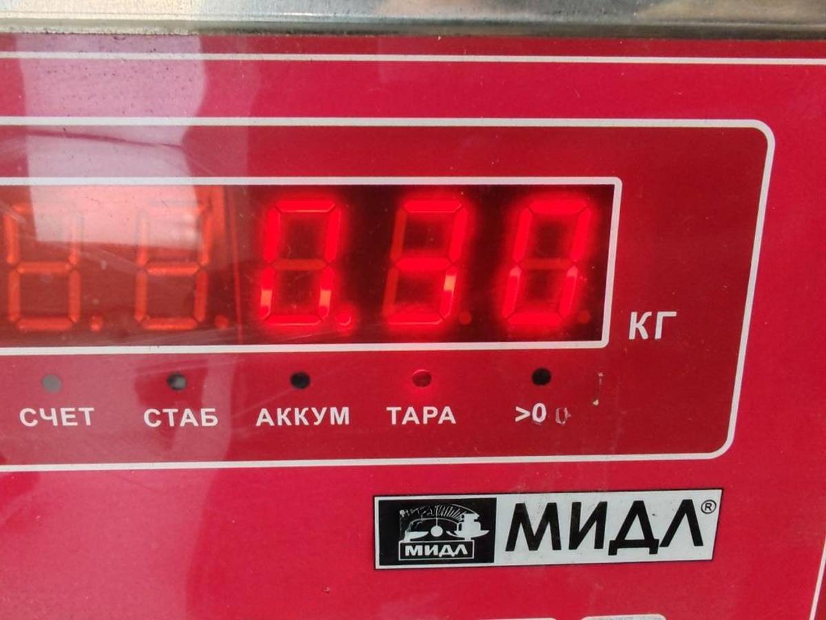 Новое Nissan X-Trail T30, 2001 г., OEM 89203671, арт. 55270848, фото 3