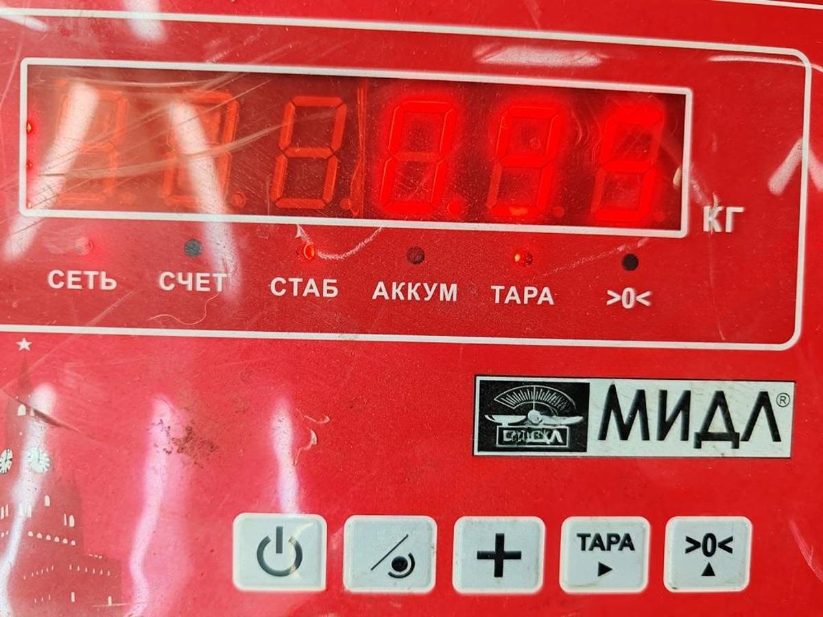 Новое Honda Civic, 1995 г., арт. 55081828, фото 3