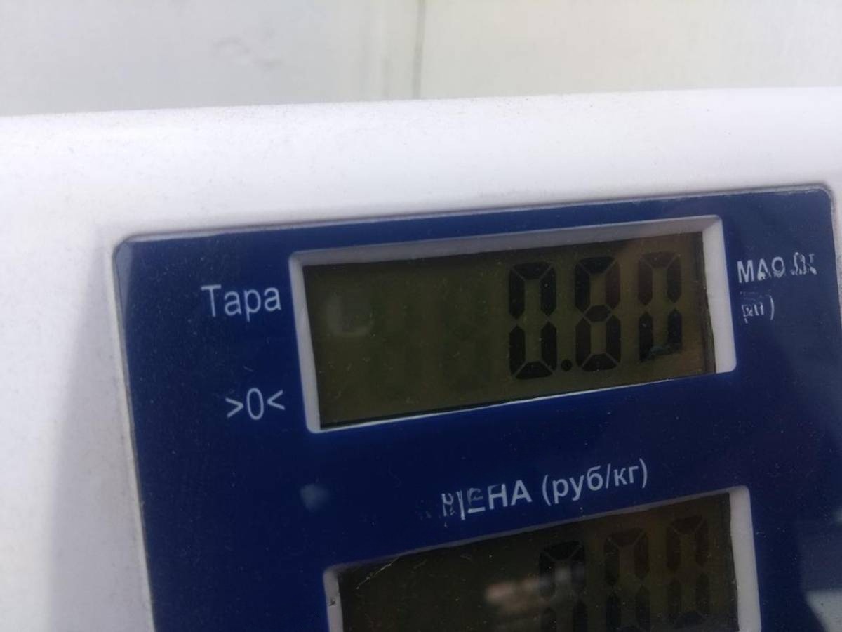 Новое Skoda Octavia mk2, 2008 г., OEM 1Z5945096A, арт. 55132728, фото 4