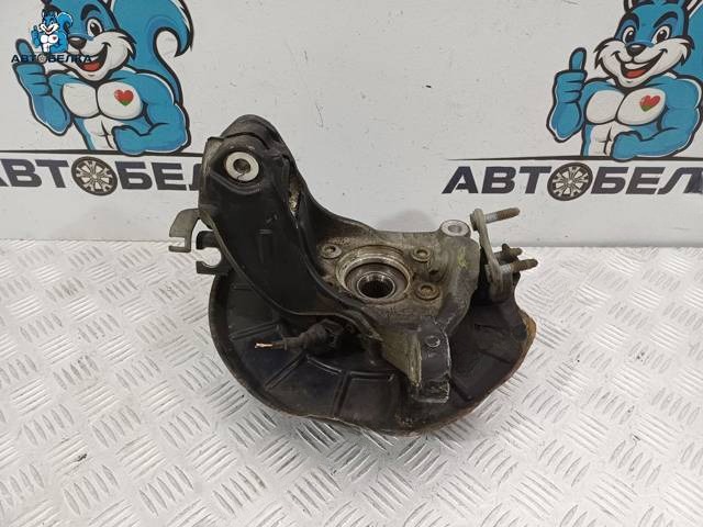 Поворотный кулак левый Volkswagen Passat B7, 2011 г., OEM 3C0407253F, арт. 36232
