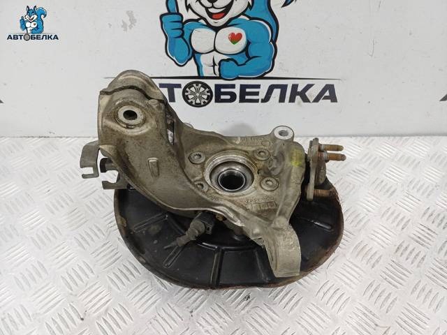 Поворотный кулак левый Volkswagen Passat B7, 2011 г., OEM 3C0407253F, арт. 36245