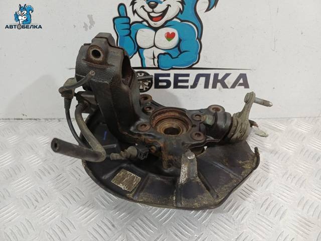 Поворотный кулак левый Volkswagen Tiguan, 2006 г., OEM 1K0407255AA, арт. 36476
