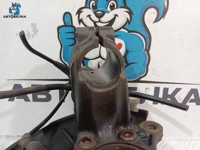 Поворотный кулак левый Volkswagen Tiguan, 2006 г., OEM 1K0407255AA, арт. 36476, фото 4
