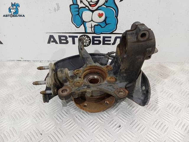 Поворотный кулак левый Volkswagen Tiguan, 2006 г., OEM 1K0407255AA, арт. 38527