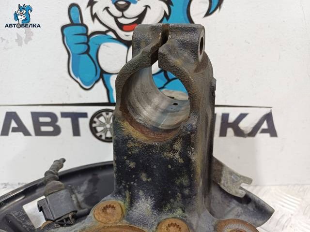 Поворотный кулак левый Volkswagen Tiguan, 2006 г., OEM 1K0407255AA, арт. 38527, фото 3