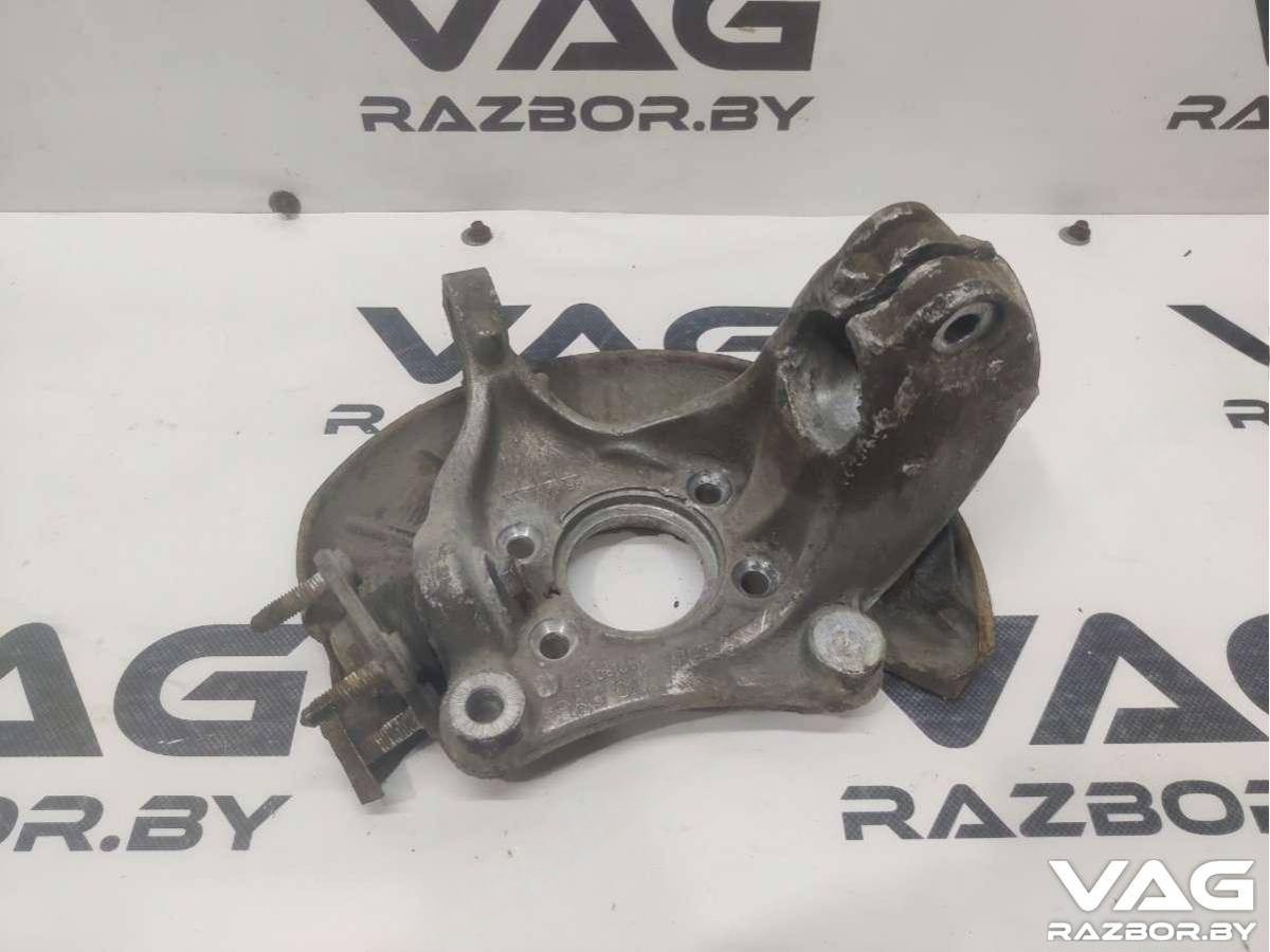 Поворотный кулак левый Volkswagen Passat B6, 2007 г., OEM 3C0407257, арт. BVR25-317, фото 2