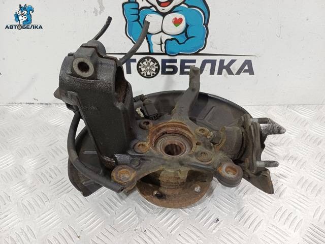 Поворотный кулак правый Volkswagen Tiguan, 2006 г., OEM 1K0407256AA, арт. 36477
