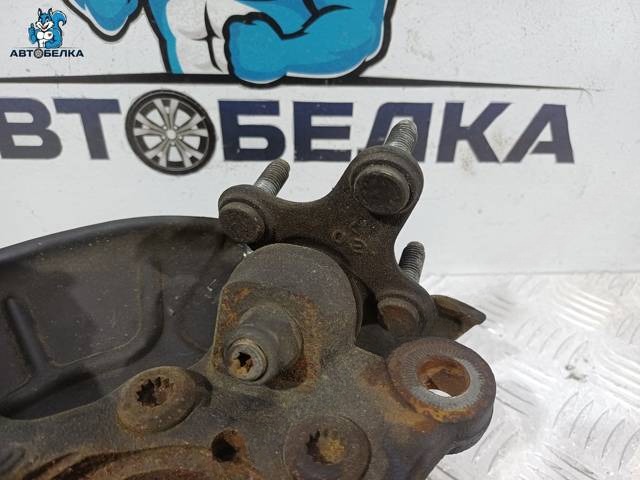 Поворотный кулак правый Volkswagen Tiguan, 2006 г., OEM 1K0407256AA, арт. 36477, фото 3