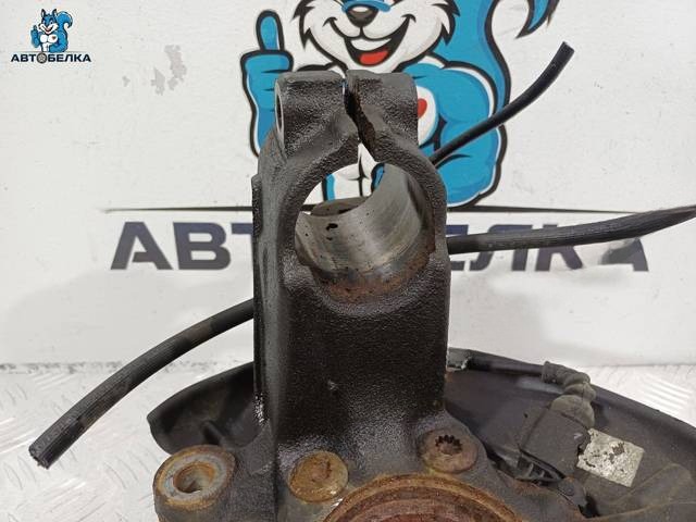 Поворотный кулак правый Volkswagen Tiguan, 2006 г., OEM 1K0407256AA, арт. 36477, фото 4