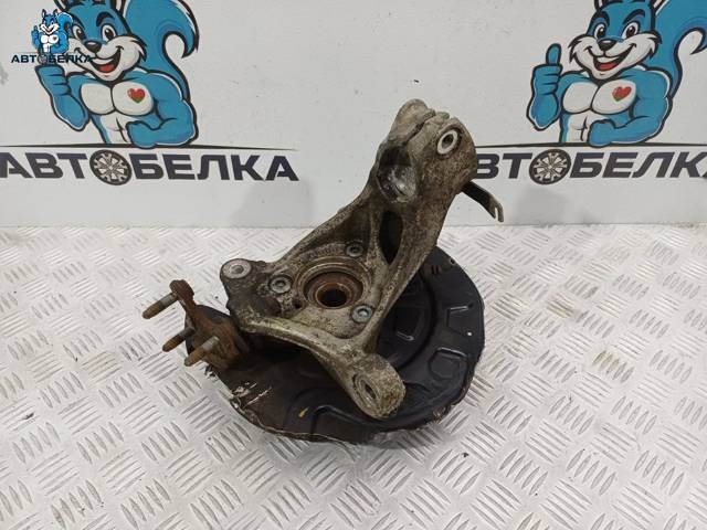 Поворотный кулак правый Volkswagen Passat B8, 2014 г., OEM 5Q0407254A, арт. 37651