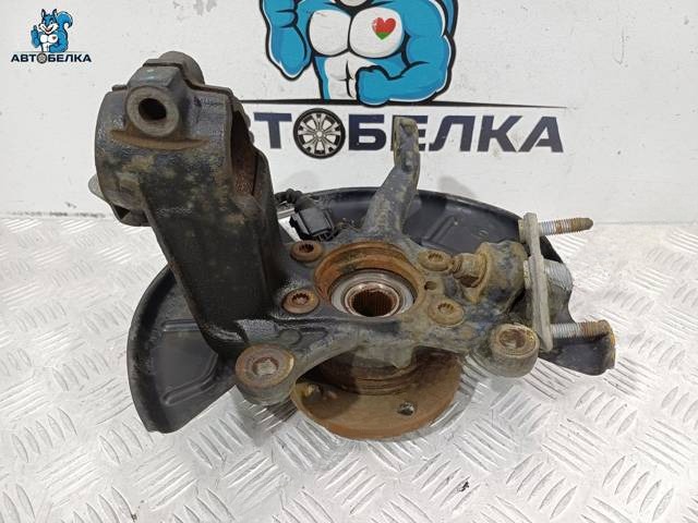 Поворотный кулак правый Volkswagen Tiguan, 2006 г., OEM 1K0407256AA, арт. 38528