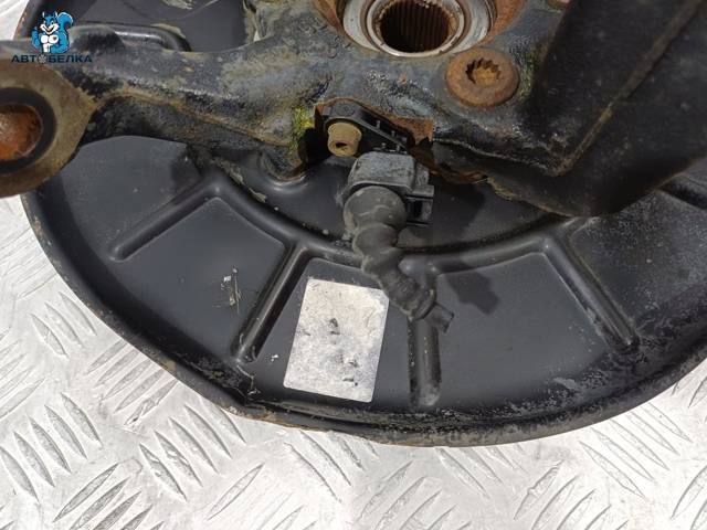 Поворотный кулак правый Volkswagen Tiguan, 2006 г., OEM 1K0407256AA, арт. 38528, фото 6