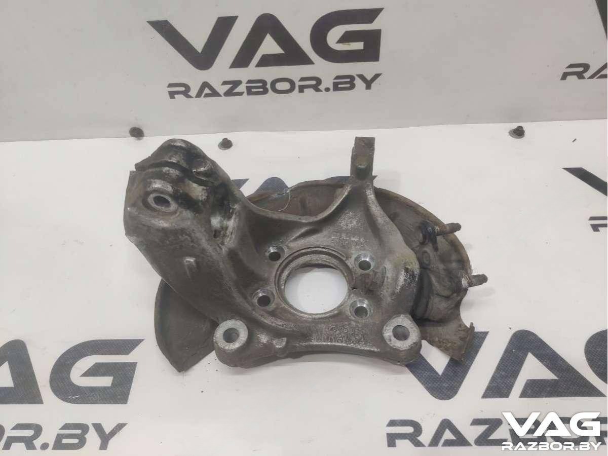 Поворотный кулак правый Volkswagen Passat B6, 2007 г., OEM 3C0407258, арт. BVR25-318, фото 2
