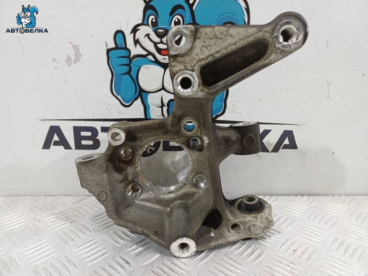 Кулак задний левый Volkswagen Tiguan, 2006 г., OEM 3C0505435G, арт. 38963, фото 8