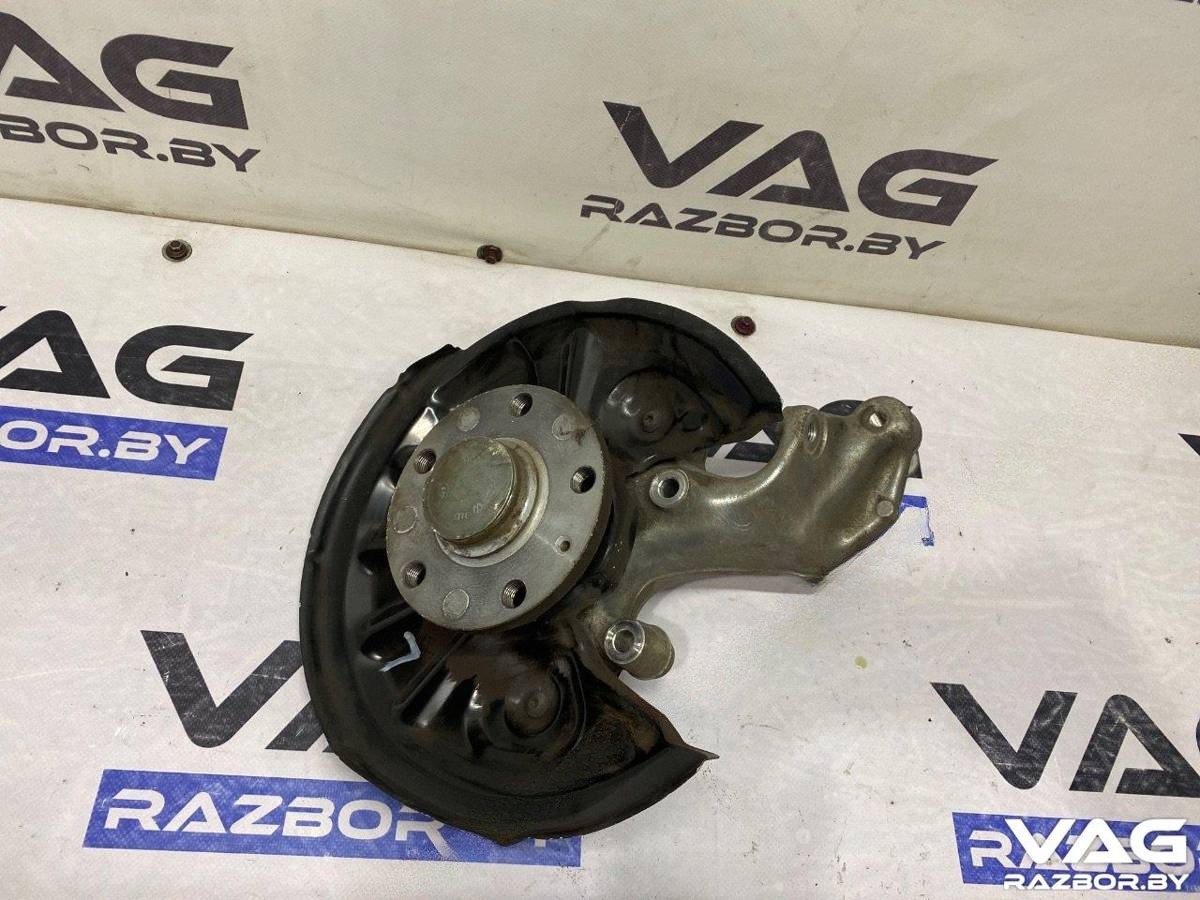 Кулак задний левый Volkswagen Tiguan, 2019 г., OEM 3Q0501117A, арт. BVR140-106