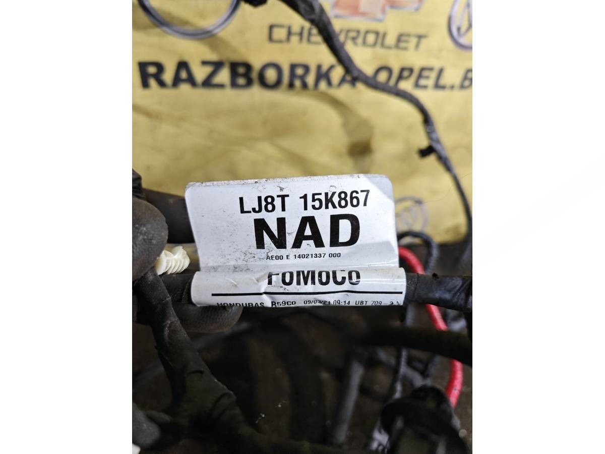 Новое Ford Mustang Mach-E, 2021 г., OEM LJ8T15K867NAD, арт. 1256-27, фото 2