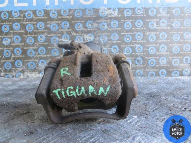 Новое Volkswagen Tiguan, 2010 г., арт. 00069920, фото 2