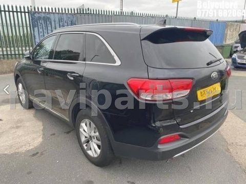 Крыло заднее правое Kia Sorento, 2015 г., OEM 71504C5C00, арт. 3BG10EJ01, фото 13