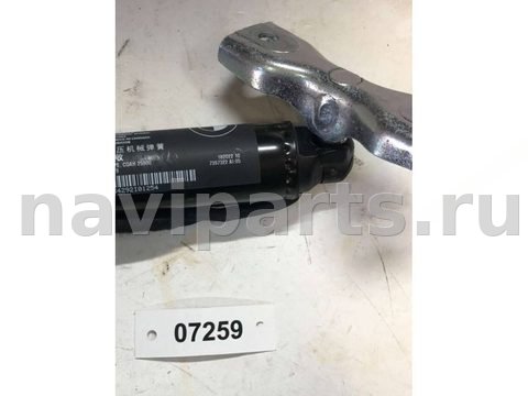 Амортизатор крышки багажника BMW X3 G01, 2019 г., OEM 51247397322, арт. 07259, фото 5