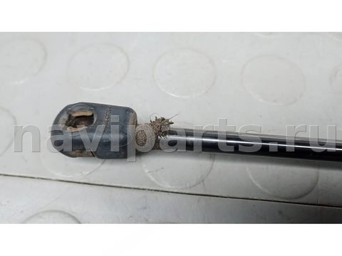 Амортизатор крышки багажника Volkswagen Passat B8, 2018 г., арт. CBM19OU01, фото 2