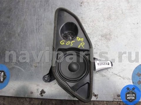 Динамик BMW X5 G05, 2019 г., OEM 6513262251703, арт. B00111822