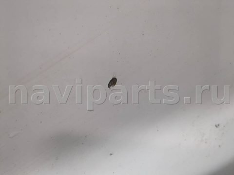 Дверь задняя распашная левая Ford Transit Connect, 2013 г., OEM 2168554, арт. 20114985, фото 4