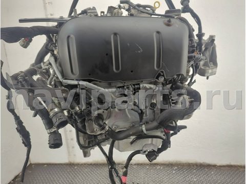Интеркулер Dodge Hornet, 2022 г., арт. 11842253, фото 4