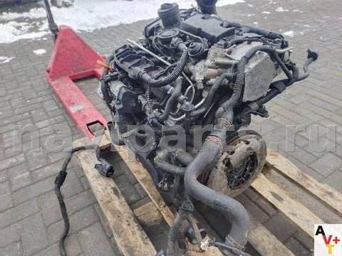 Катушка зажигания Volkswagen Passat B6, 2006 г., арт. 100359069, фото 3