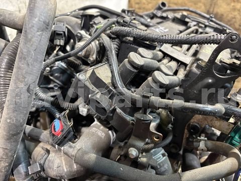 Катушка зажигания Ford Focus, 2004 г., арт. 115167304