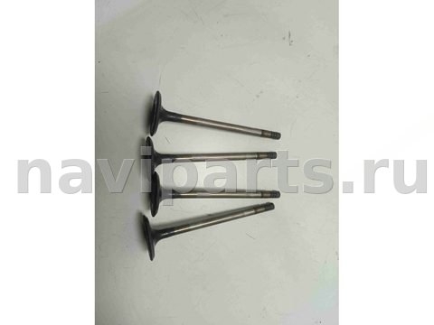 Клапан впускной Ford Focus, 2008 г., OEM 1320927, арт. 01992