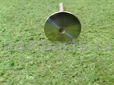 Клапан впускной Seat Ibiza, 1996 г., OEM VI0008, арт. 1208394312416006786_6, фото 2