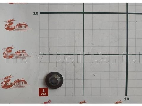 Клапан впускной Chery Amulet, 2003 г., OEM 473H1007015, арт. 120916