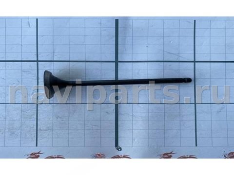 Клапан впускной Lifan X50, 2015 г., OEM LF479Q3B1007012A, арт. 89403
