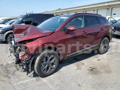 Ковёр салонный Kia Sportage, 2023 г., арт. 107530799