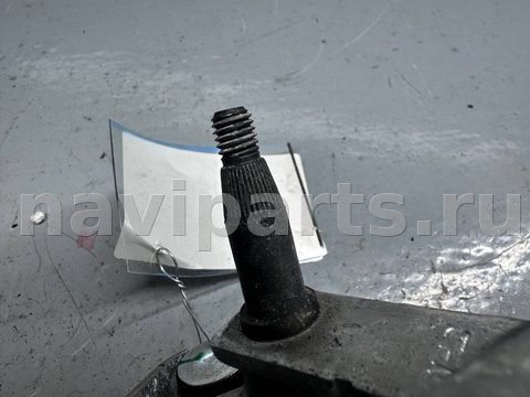 Новое Opel Signum, 2007 г., OEM 93185524, арт. B91192390, фото 4