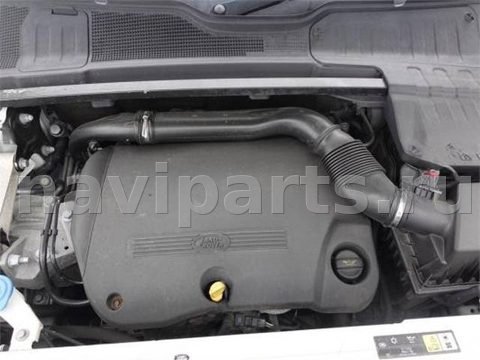 Новое Land-Rover Evoque, 2014 г., арт. TNK19EG01, фото 7