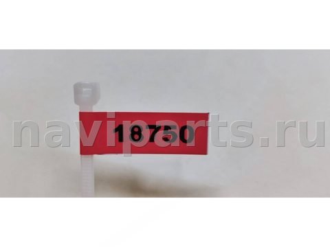 Молдинг крыла заднего правого Audi A8 D2 (S8), 1999 г., OEM 4D0853984, арт. 18750, фото 6