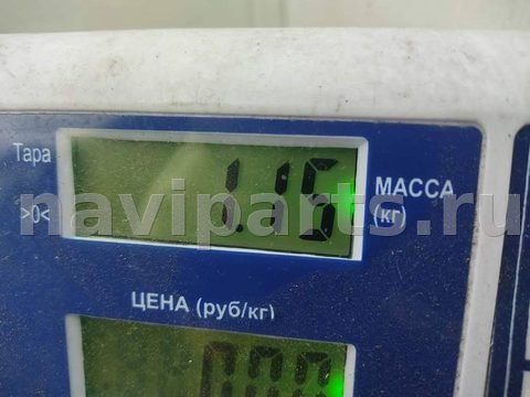 Новое Volkswagen Passat B5, 2004 г., арт. 55419076, фото 4
