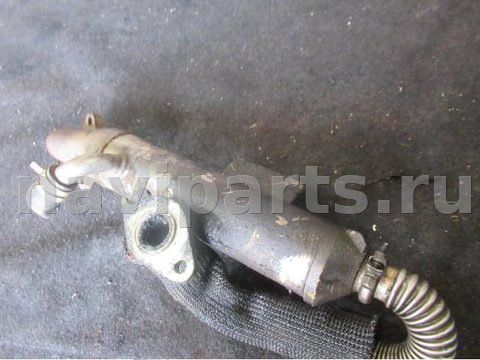 Новое Ford Focus, 1999 г., арт. 0082311, фото 2