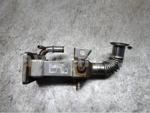 Охладитель отработанных газов Renault Scenic, 2005 г., OEM 8200316949, арт. 0173230