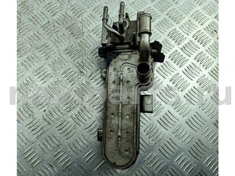 Охладитель отработанных газов Audi A3 8P, 2003 г., OEM 038131513D, арт. 55303874