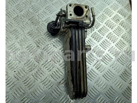 Охладитель отработанных газов Audi A3 8P, 2003 г., OEM 038131513D, арт. 55303874, фото 3